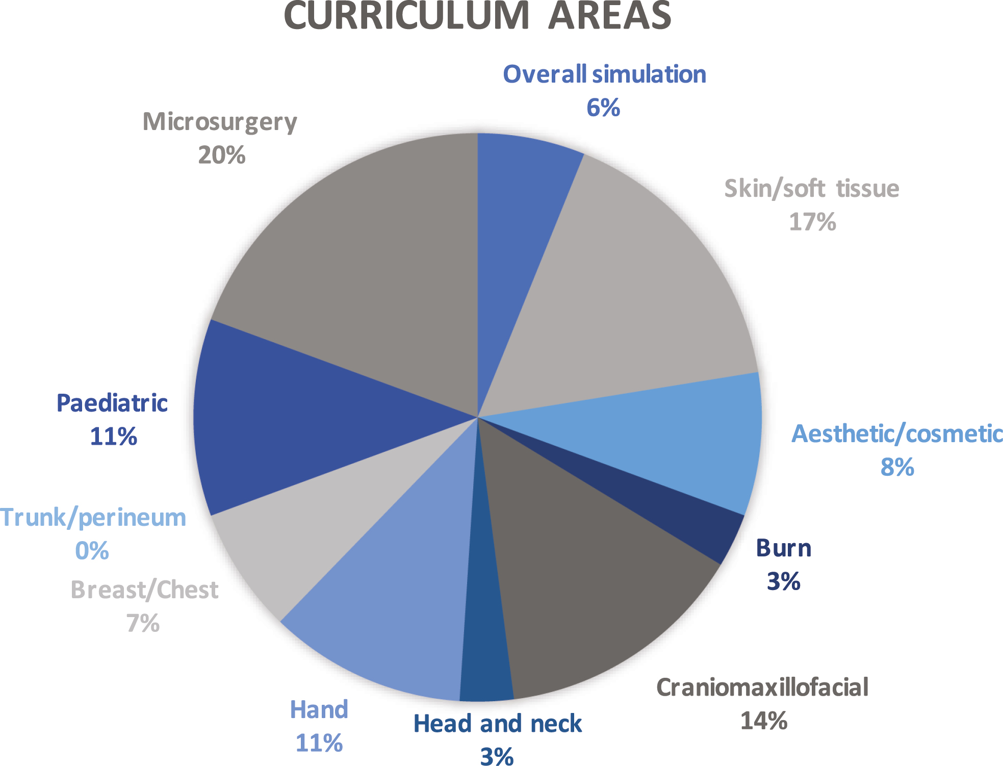 Curriculum areas addressed by sources included in this scoping review, represented graphically.