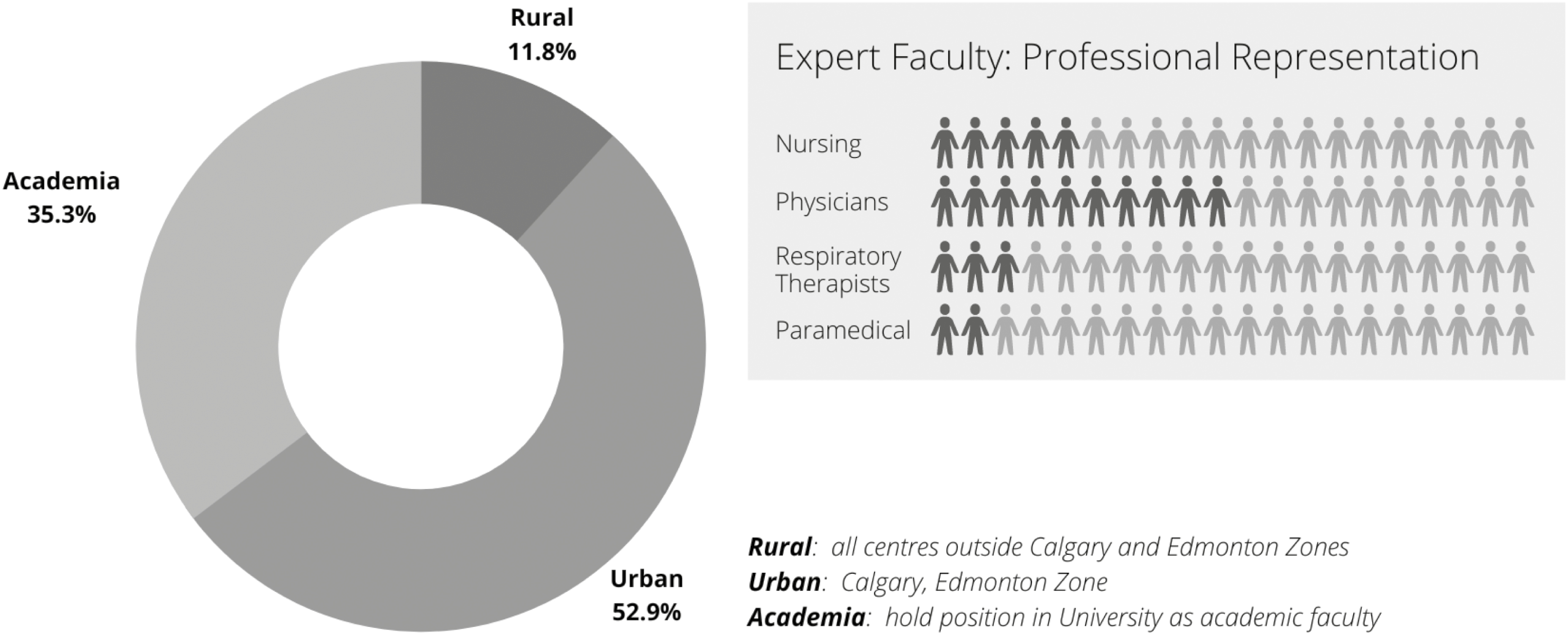 Expert faculty representation by professional experience domains.