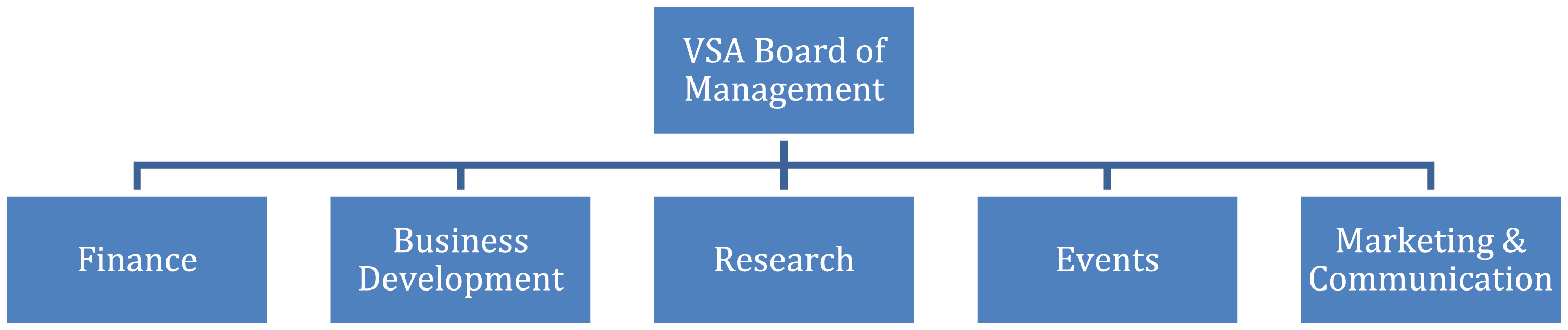 VSA organizational structure