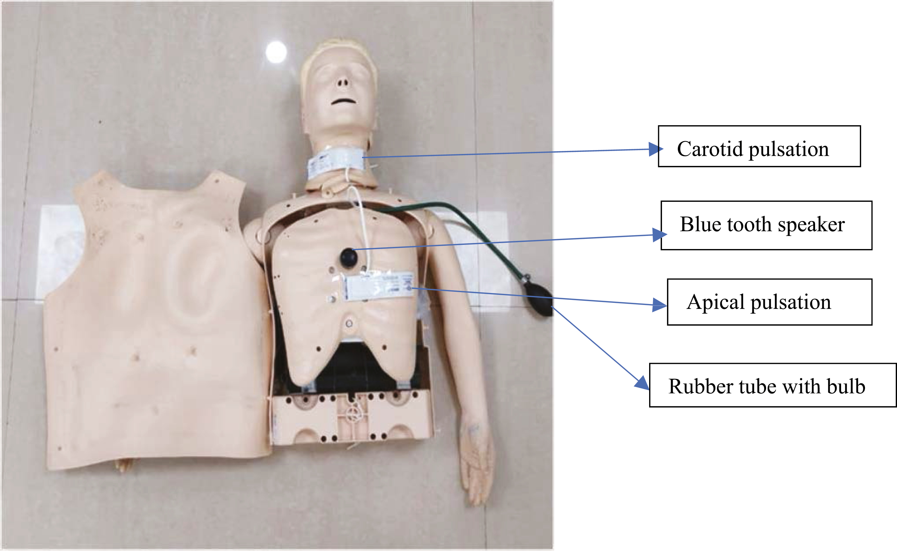 The design of the simulator.